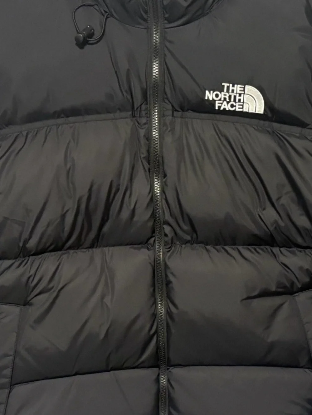NWT The North Face 1996 Retro Nuptse 700 Down Jacket Black Men's Hoodie